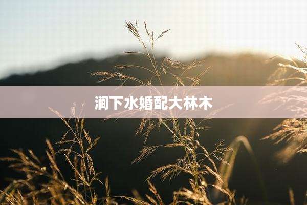 涧下水婚配大林木