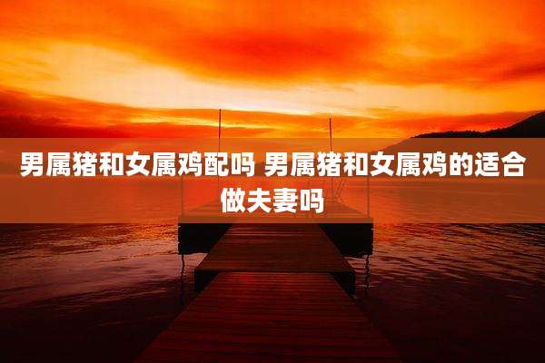 男属猪和女属鸡配吗 男属猪和女属鸡的适合做夫妻吗