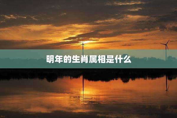 明年的生肖属相是什么