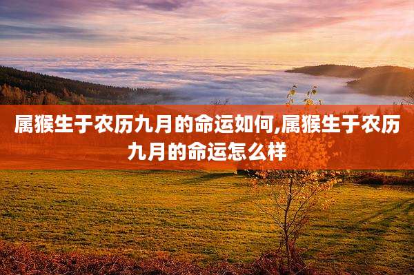 属猴生于农历九月的命运如何,属猴生于农历九月的命运怎么样