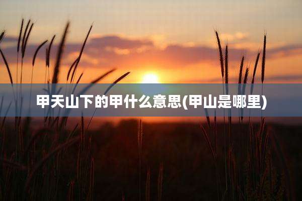 甲天山下的甲什么意思(甲山是哪里)