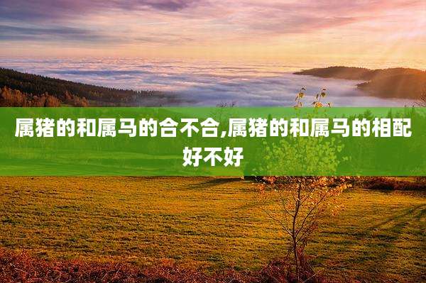 属猪的和属马的合不合,属猪的和属马的相配好不好