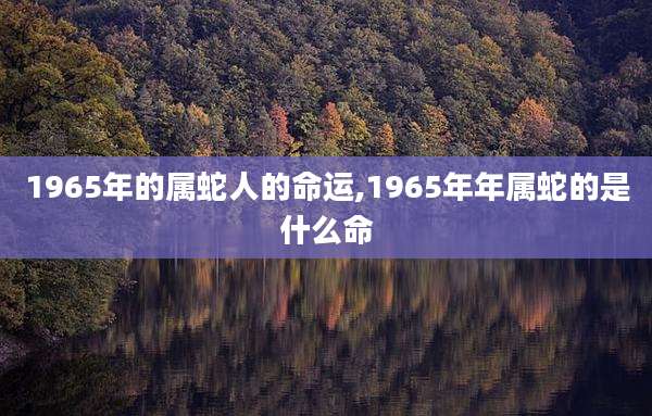 1965年的属蛇人的命运,1965年年属蛇的是什么命