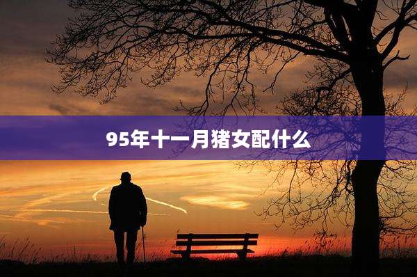 95年十一月猪女配什么