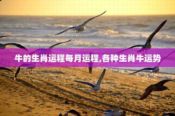 牛的生肖运程每月运程,各种生肖牛运势