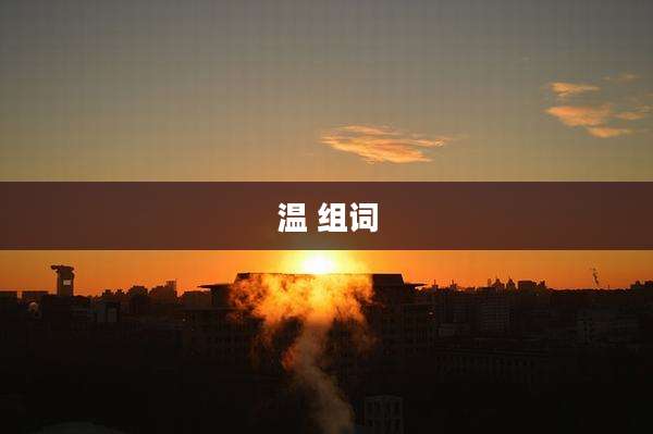温 组词