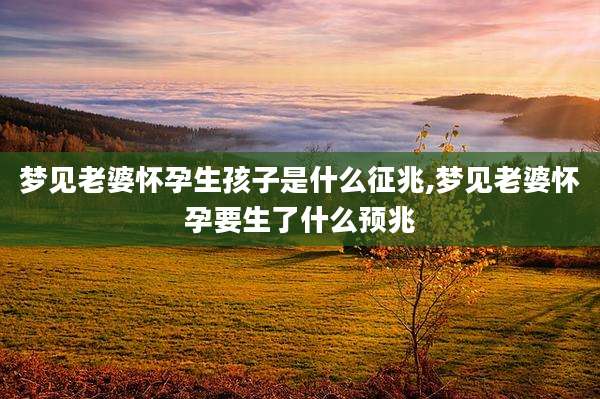 梦见老婆怀孕生孩子是什么征兆,梦见老婆怀孕要生了什么预兆