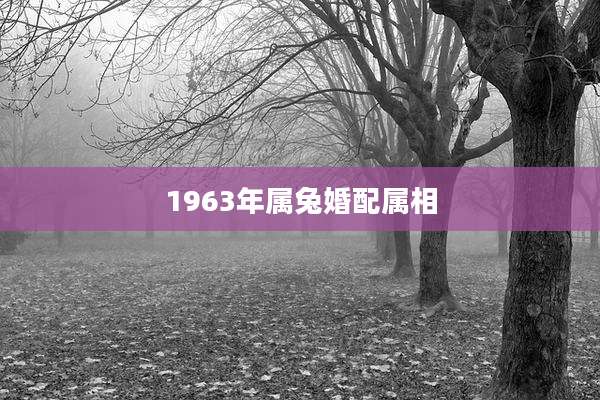 1963年属兔婚配属相