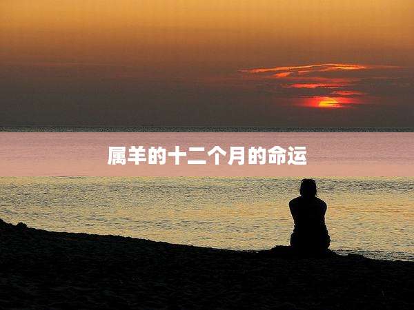 属羊的十二个月的命运
