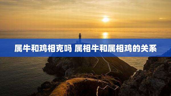 属牛和鸡相克吗 属相牛和属相鸡的关系
