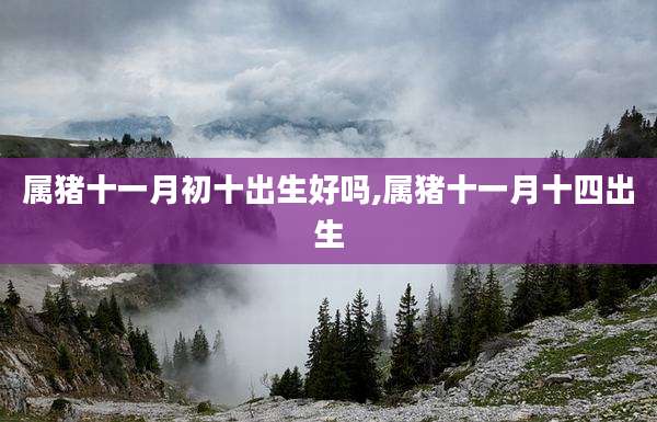 属猪十一月初十出生好吗,属猪十一月十四出生