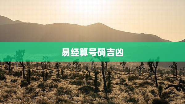 易经算号码吉凶