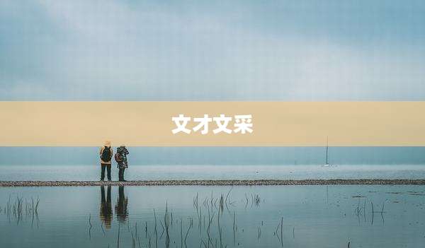 文才文采