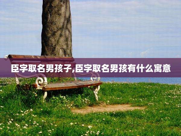 臣字取名男孩子,臣字取名男孩有什么寓意