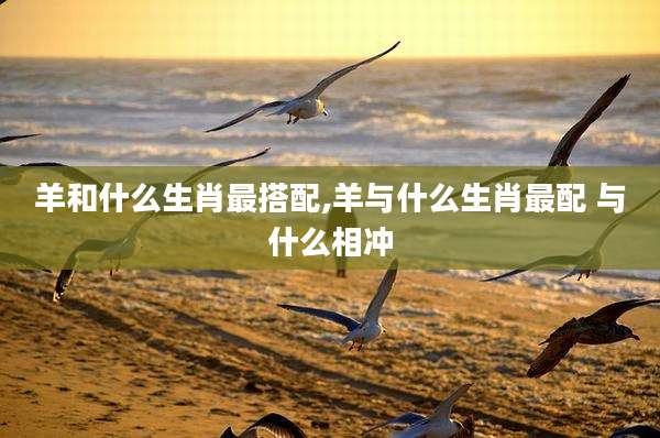 羊和什么生肖最搭配,羊与什么生肖最配 与什么相冲