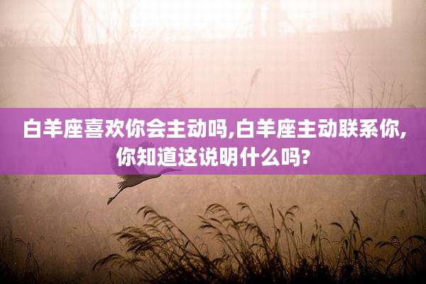 白羊座喜欢你会主动吗,白羊座主动联系你,你知道这说明什么吗?