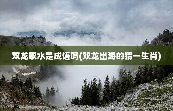 双龙取水是成语吗(双龙出海的猜一生肖)