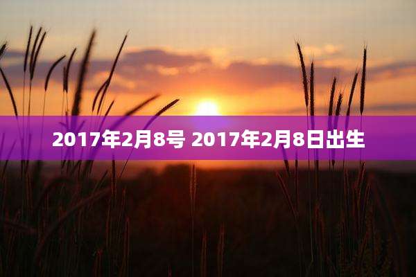 2017年2月8号 2017年2月8日出生