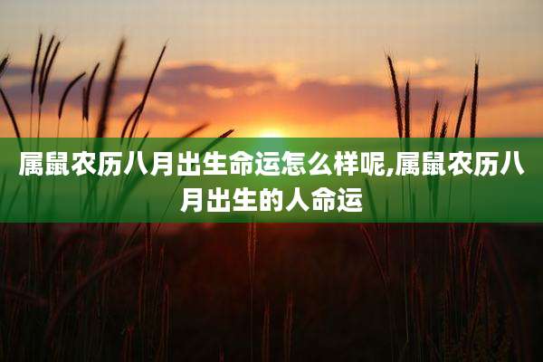 属鼠农历八月出生命运怎么样呢,属鼠农历八月出生的人命运