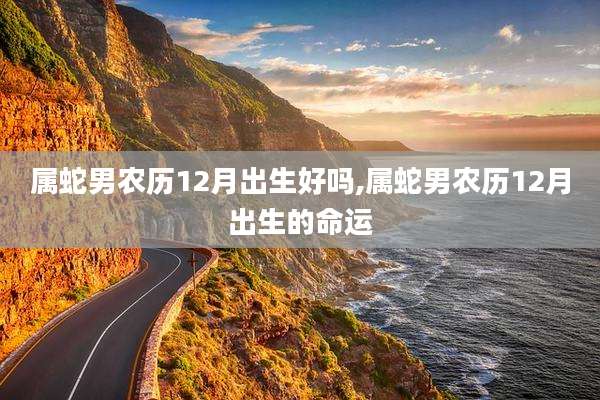 属蛇男农历12月出生好吗,属蛇男农历12月出生的命运
