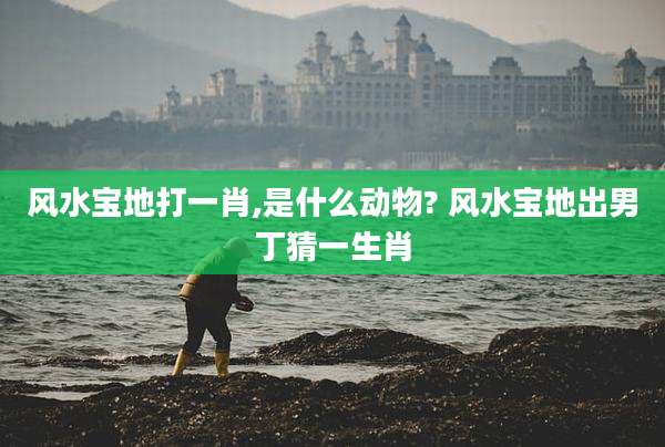 风水宝地打一肖,是什么动物? 风水宝地出男丁猜一生肖