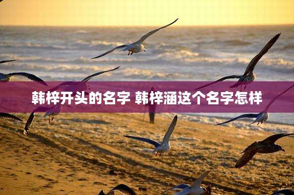 韩梓开头的名字 韩梓涵这个名字怎样