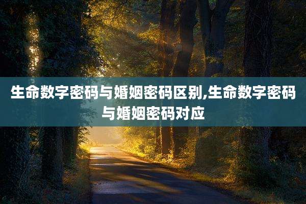 生命数字密码与婚姻密码区别,生命数字密码与婚姻密码对应