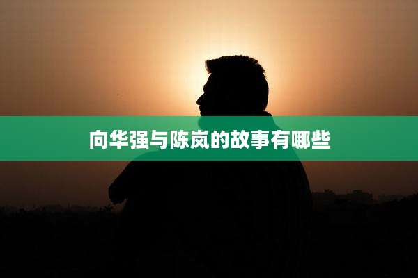 向华强与陈岚的故事有哪些