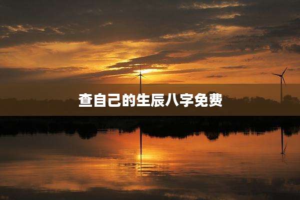 查自己的生辰八字免费