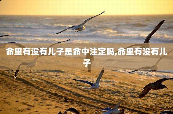 命里有没有儿子是命中注定吗,命里有没有儿子