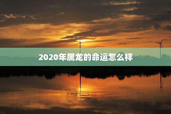 2020年属龙的命运怎么样