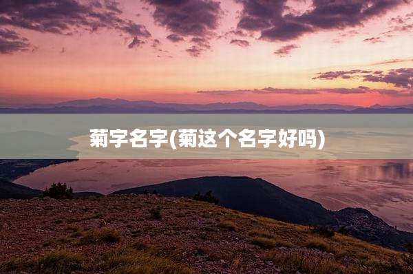 菊字名字(菊这个名字好吗)