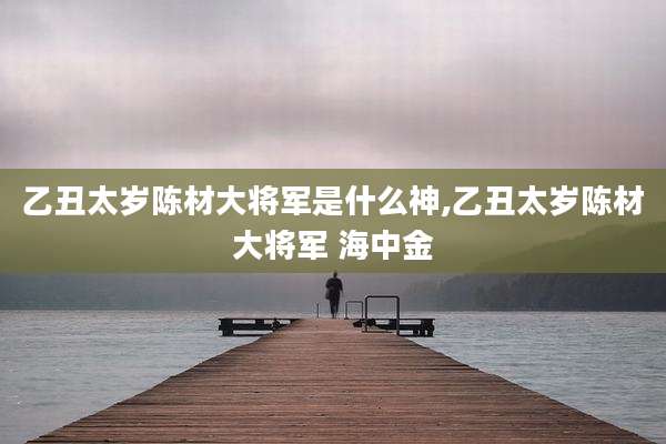乙丑太岁陈材大将军是什么神,乙丑太岁陈材大将军 海中金