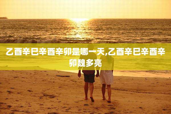 乙酉辛巳辛酉辛卯是哪一天,乙酉辛巳辛酉辛卯魏多亮