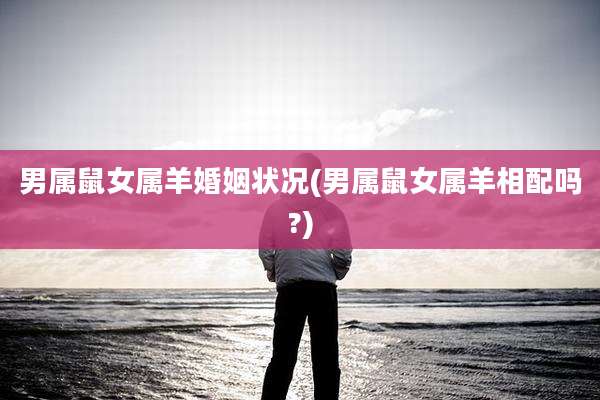男属鼠女属羊婚姻状况(男属鼠女属羊相配吗?)