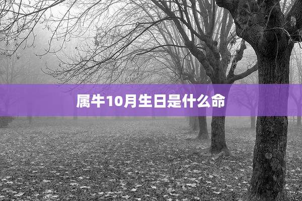 属牛10月生日是什么命