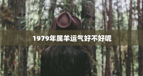 1979年属羊运气好不好呢