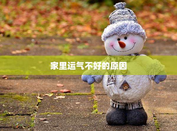 家里运气不好的原因
