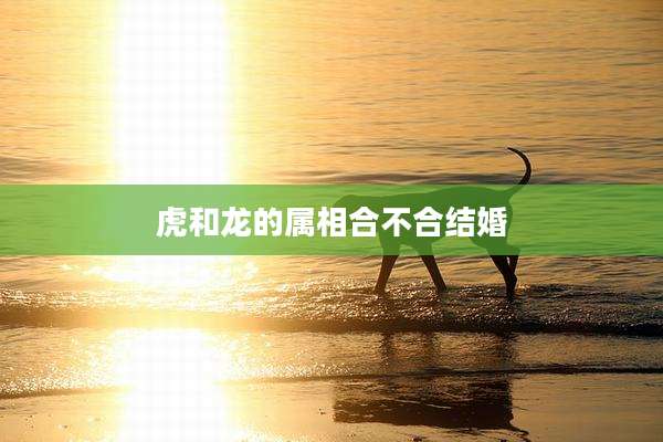 虎和龙的属相合不合结婚