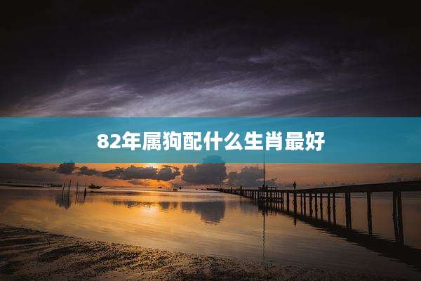 82年属狗配什么生肖最好