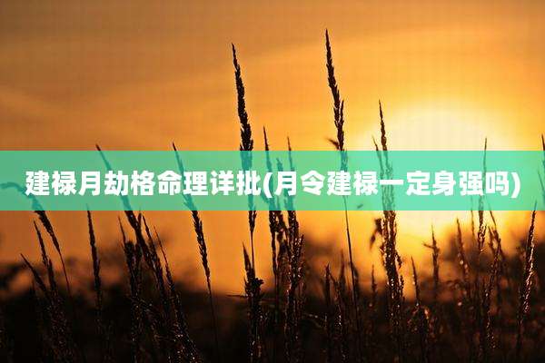 建禄月劫格命理详批(月令建禄一定身强吗)