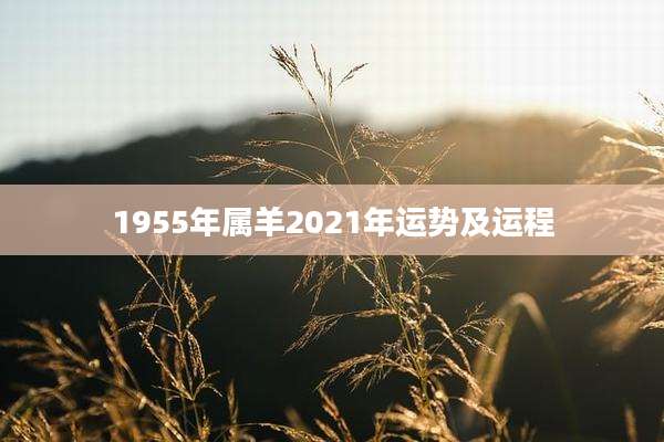 1955年属羊2021年运势及运程