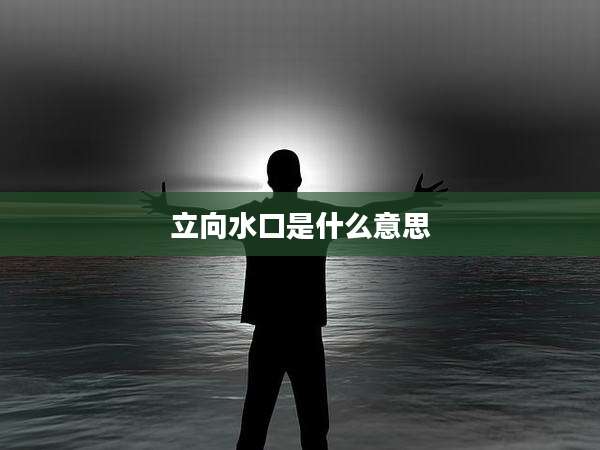 立向水口是什么意思
