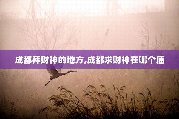 成都拜财神的地方,成都求财神在哪个庙
