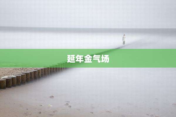 延年金气场