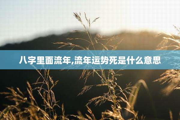 八字里面流年,流年运势死是什么意思