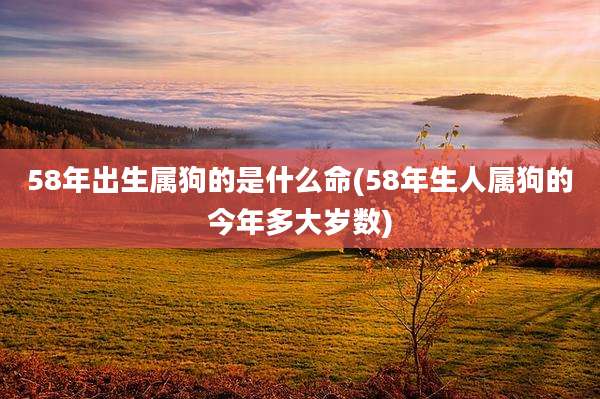 58年出生属狗的是什么命(58年生人属狗的今年多大岁数)
