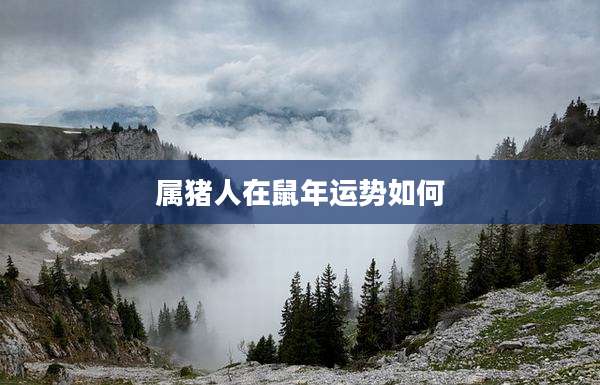 属猪人在鼠年运势如何