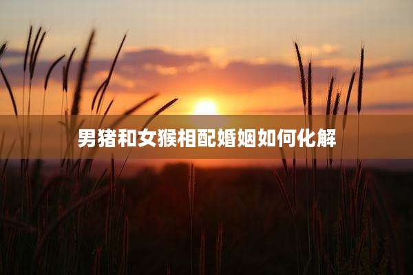 男猪和女猴相配婚姻如何化解