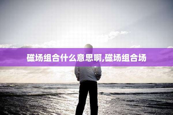 磁场组合什么意思啊,磁场组合场